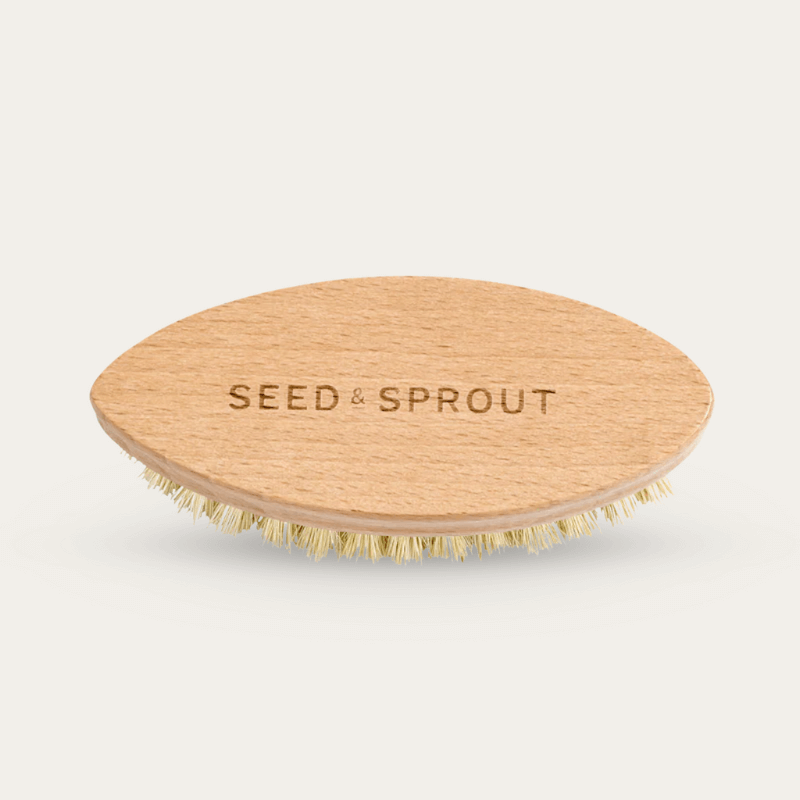 2pcs Vegetable Brush Scrubber For Food, Coconut Fiber