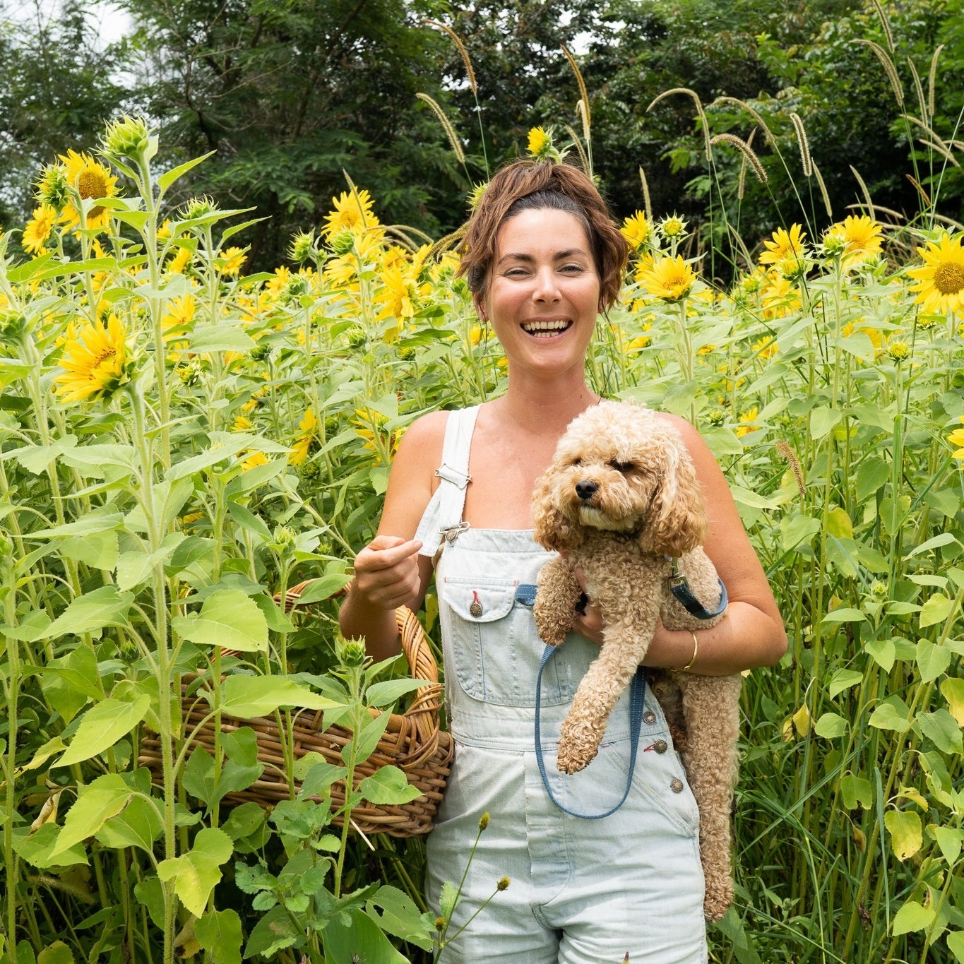 Seed & Sprout Sophie Kovic on Tiny House Living