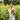 Seed & Sprout Sophie Kovic on Tiny House Living