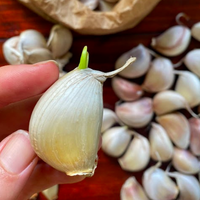 A Guide to Homegrown Garlic with Cass McCarthy