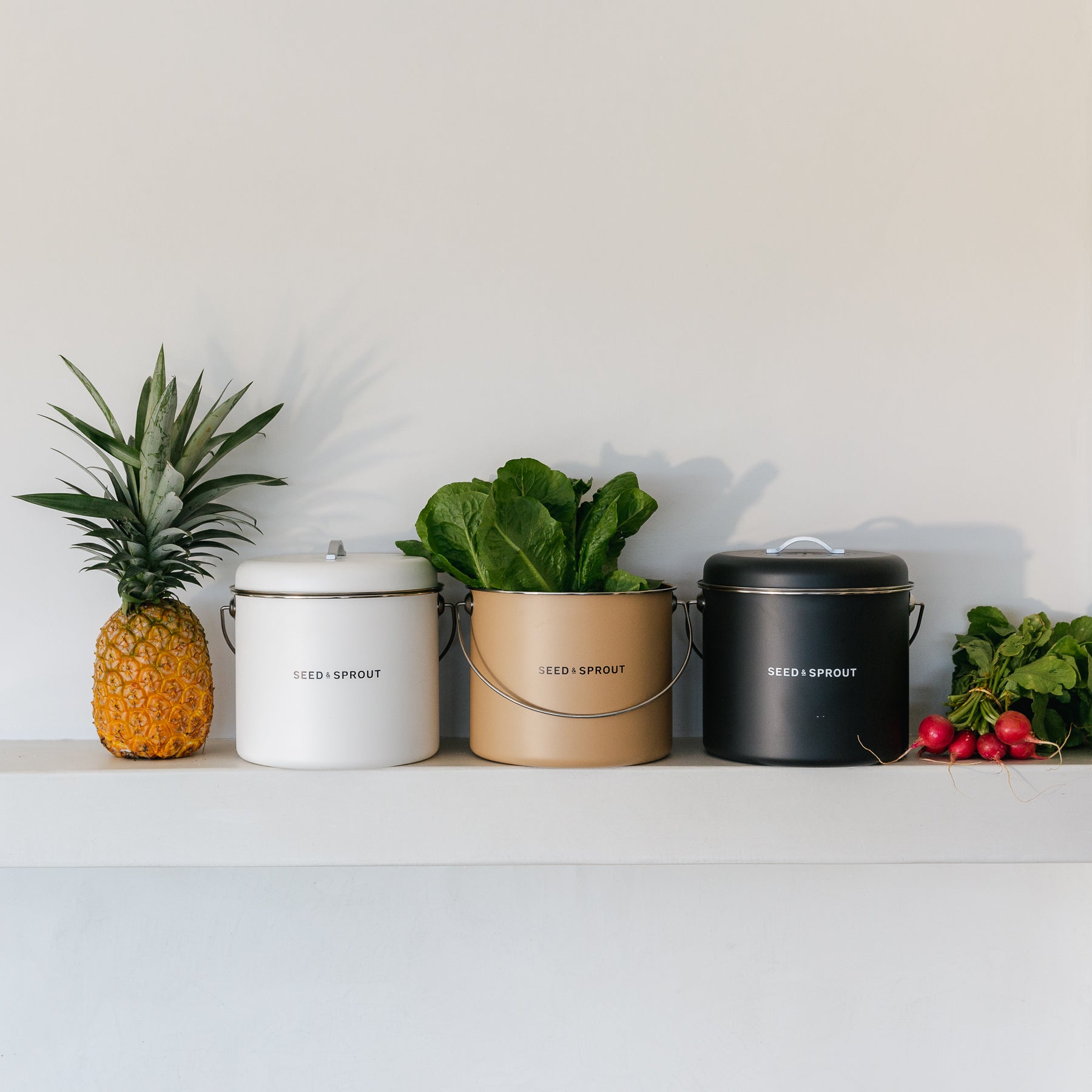 Home Composting Basics
