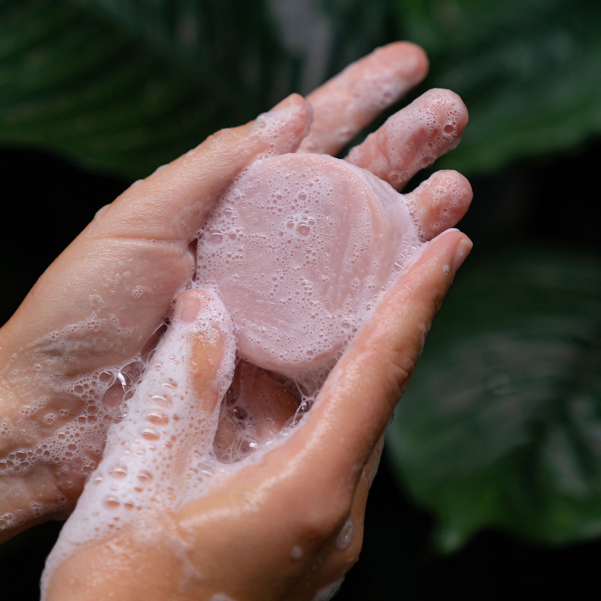 Answering your FAQ's on our Shampoo Bars!