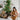 Christmas in July: Simple, Sustainable Ways to Celebrate Midyear
