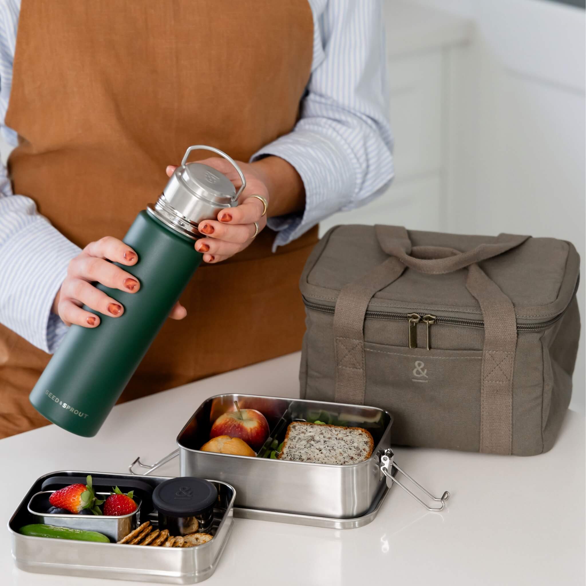 CrunchBox™ Stainless Steel Bento Lunch Box | Seed & Sprout