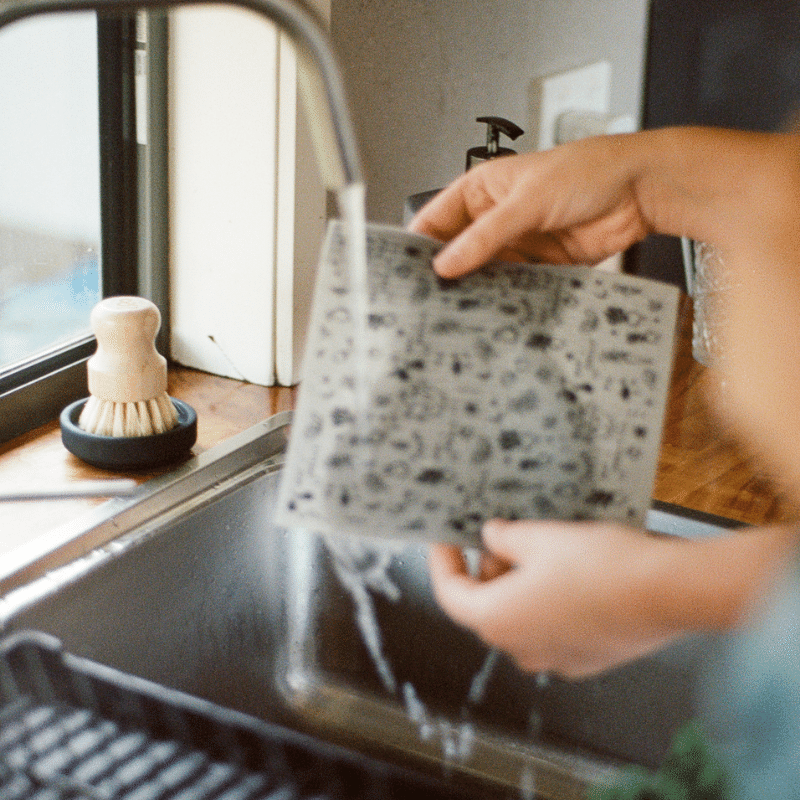 https://seedandsprout.com/cdn/shop/files/CelluloseSponge-PebblePrint_3.png?v=1684384896