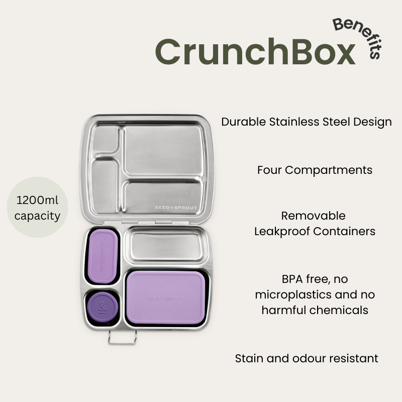 Lunch Box Bundle | Plum