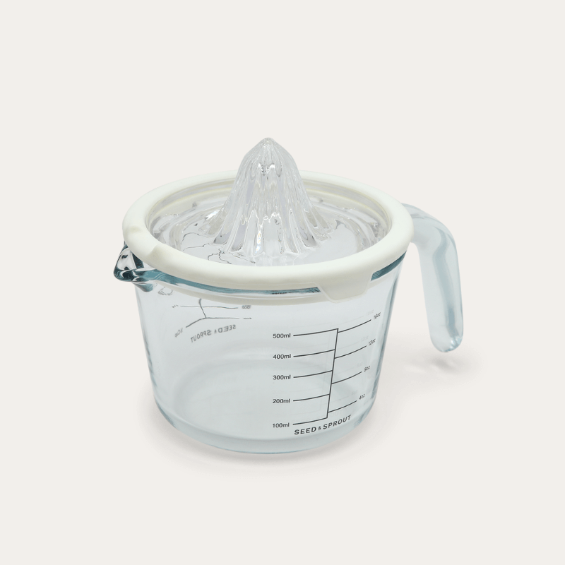 Glass and Silicone Juicer