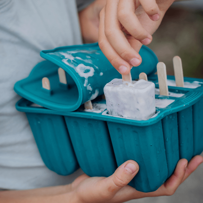 Ice Block Moulds for delicious frozen icy poles