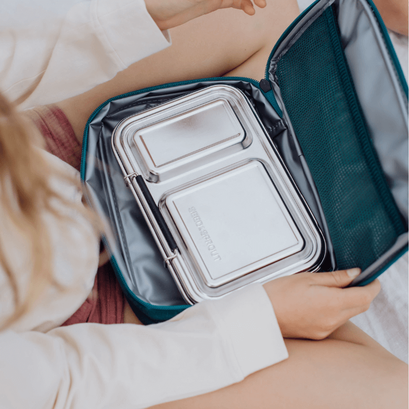 Bento Lunch Box | Juniper