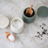 Wooden Beechwood Spice Scoop 4pk