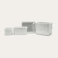 Rectangle Stainless Steel and Glass Containers Set