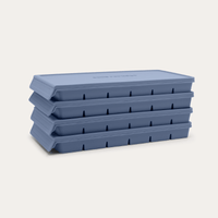 Freezer Mould Multibuy
