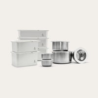 Stainless Steel Containers: 10 pc set