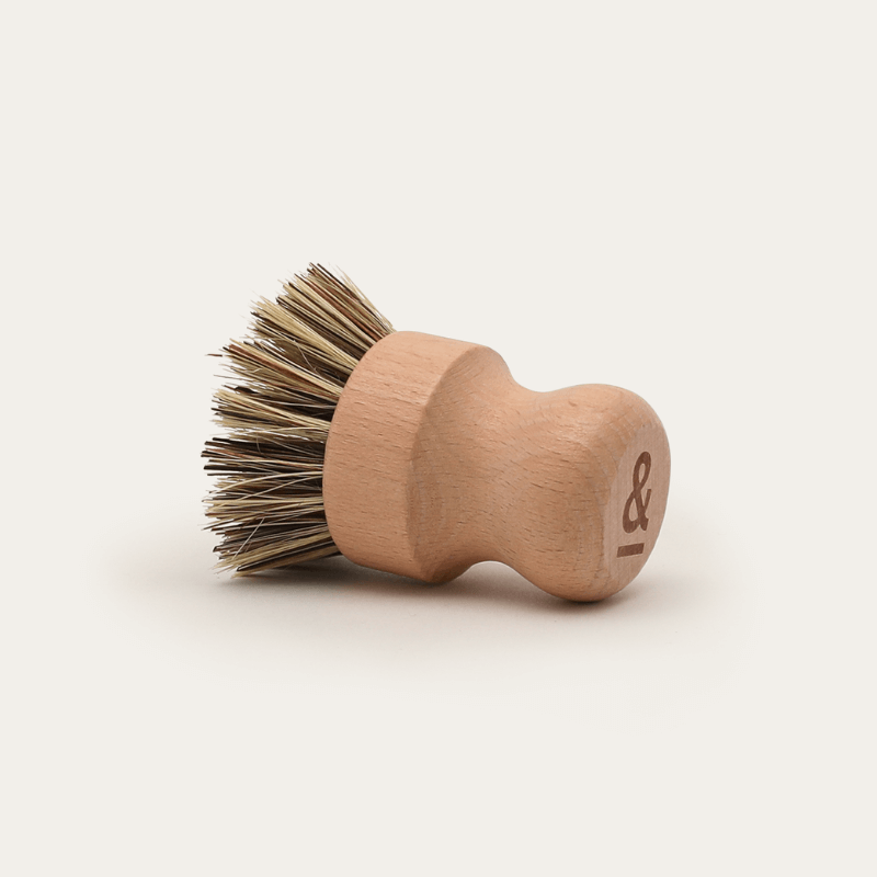 Seed & Sprout Pot Scrubber - Thumbnail 2