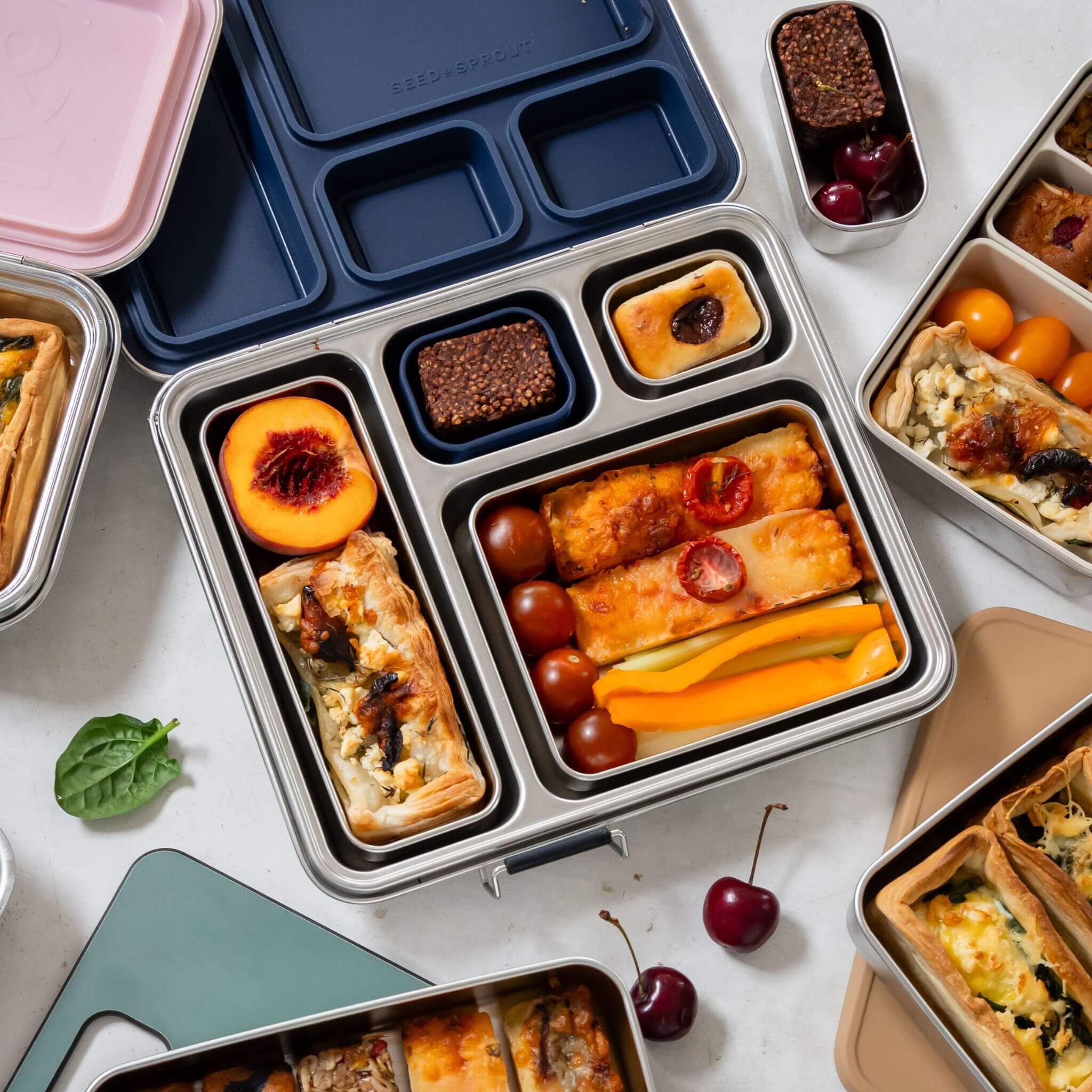 CrunchBox™ Stainless Steel Bento Lunch Box | Seed & Sprout