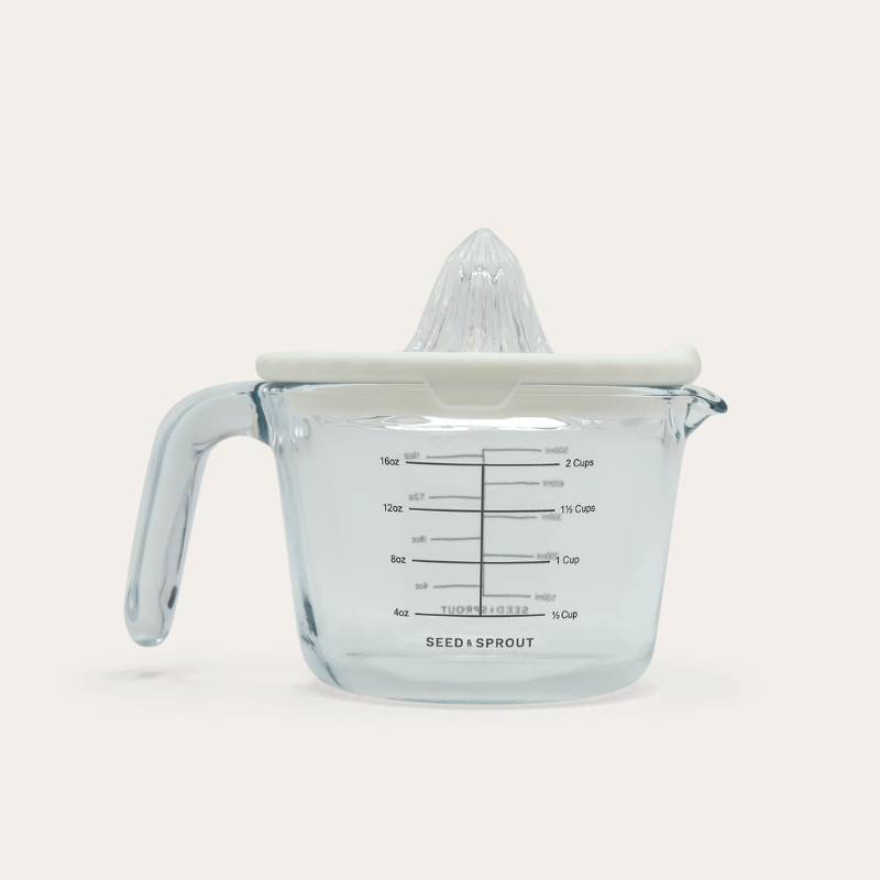 Glass and Silicone Juicer