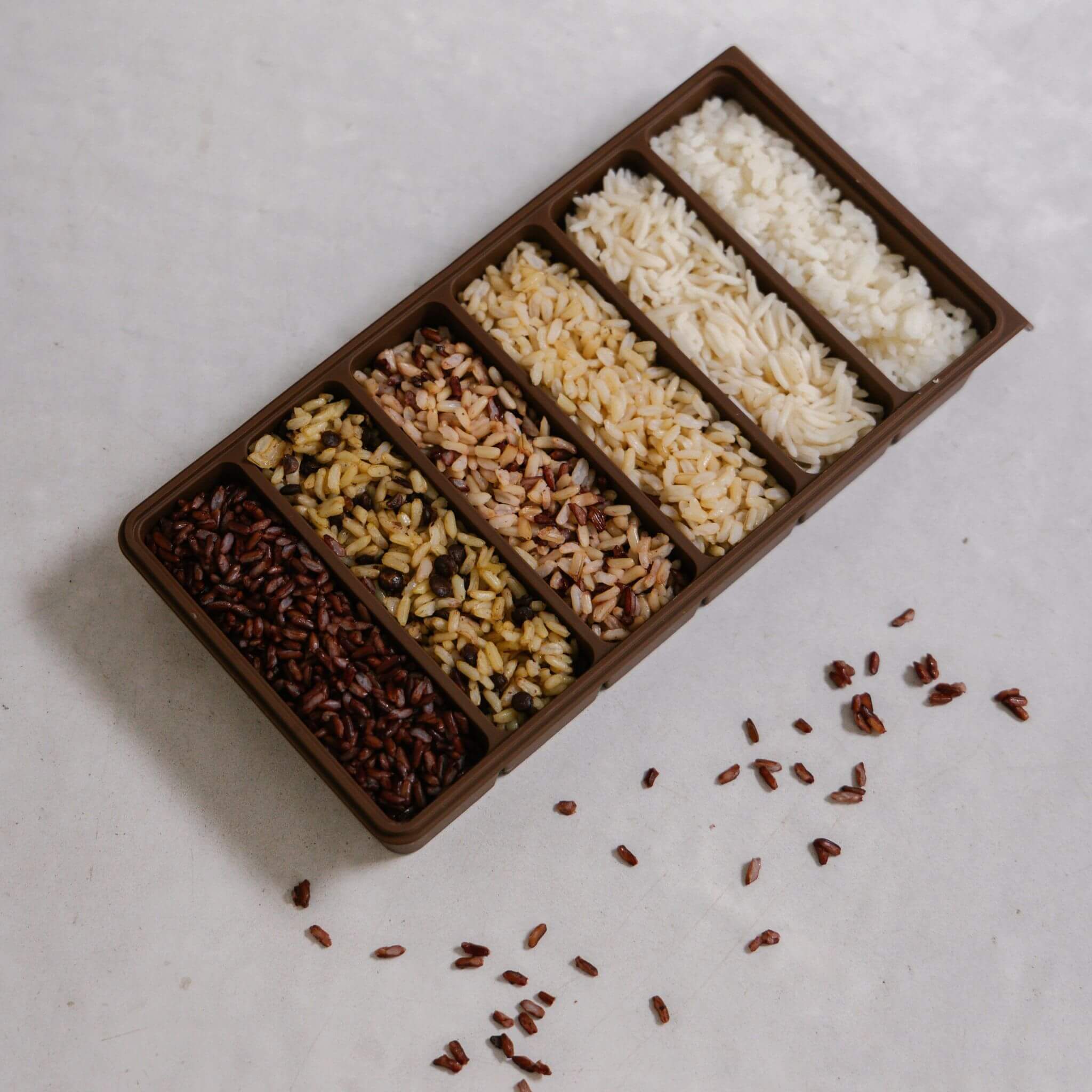 Complete Freezer Tray Set