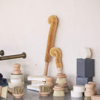 Long Bottle Brush | Beechwood