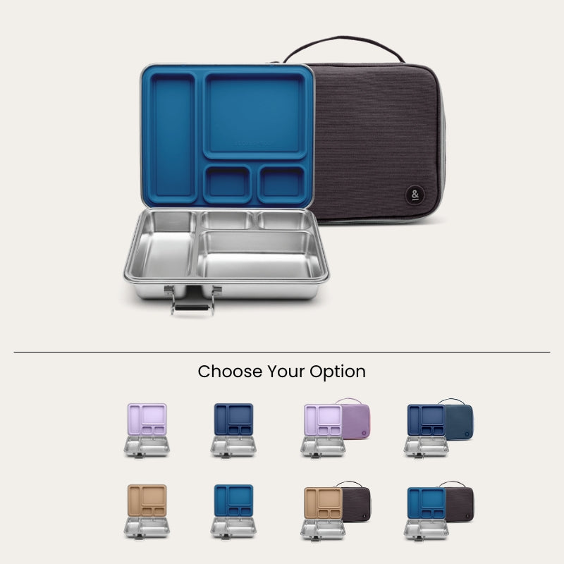 CrunchBox™ Stainless Steel Bento Lunch Box | Seed & Sprout