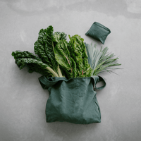 Foldable Bag