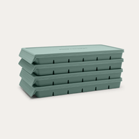 Freezer Mould Multibuy