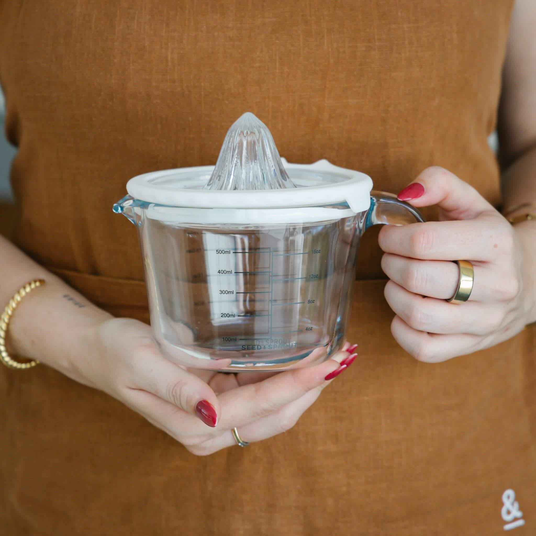 Glass and Silicone Juicer