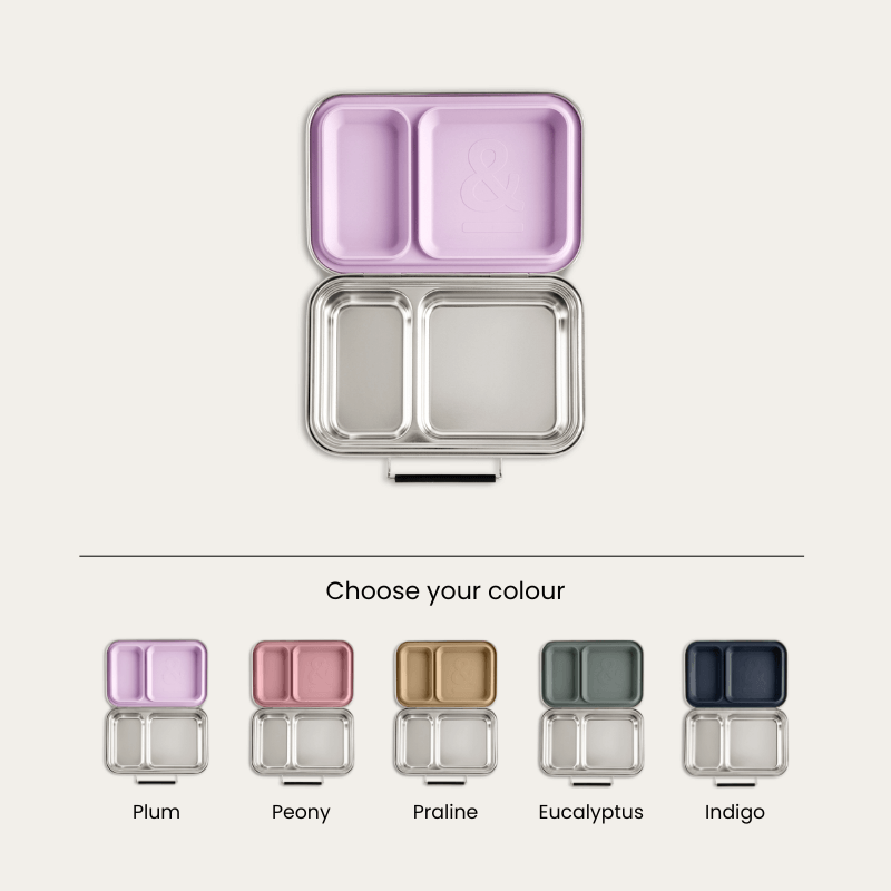 Bento Lunch Box | Leak Resistant Seal