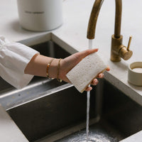 Compostable Sponge with Scourer