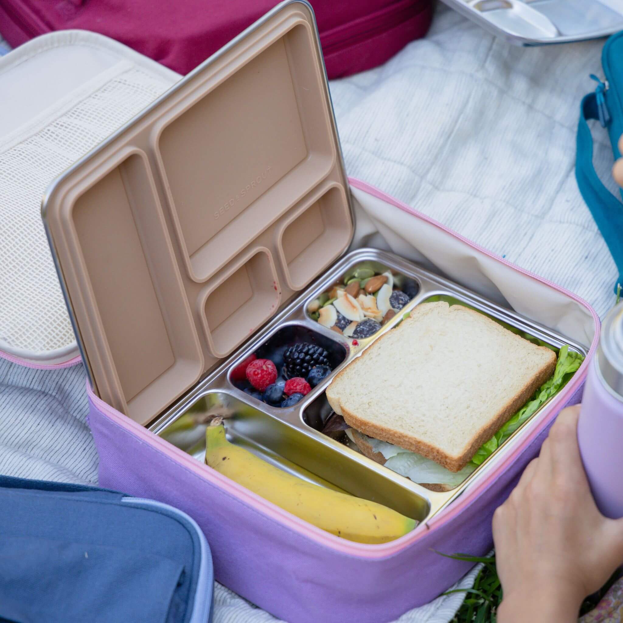 CrunchBox™ 2.0 Lunch Box | Silicone Leak Resistant Seal