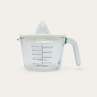 Glass and Silicone Juicer