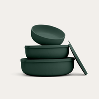 Silicone Nesting Bowl Set of 3