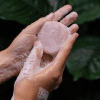 Shampoo & Conditioner Bar Set | Rose Geranium