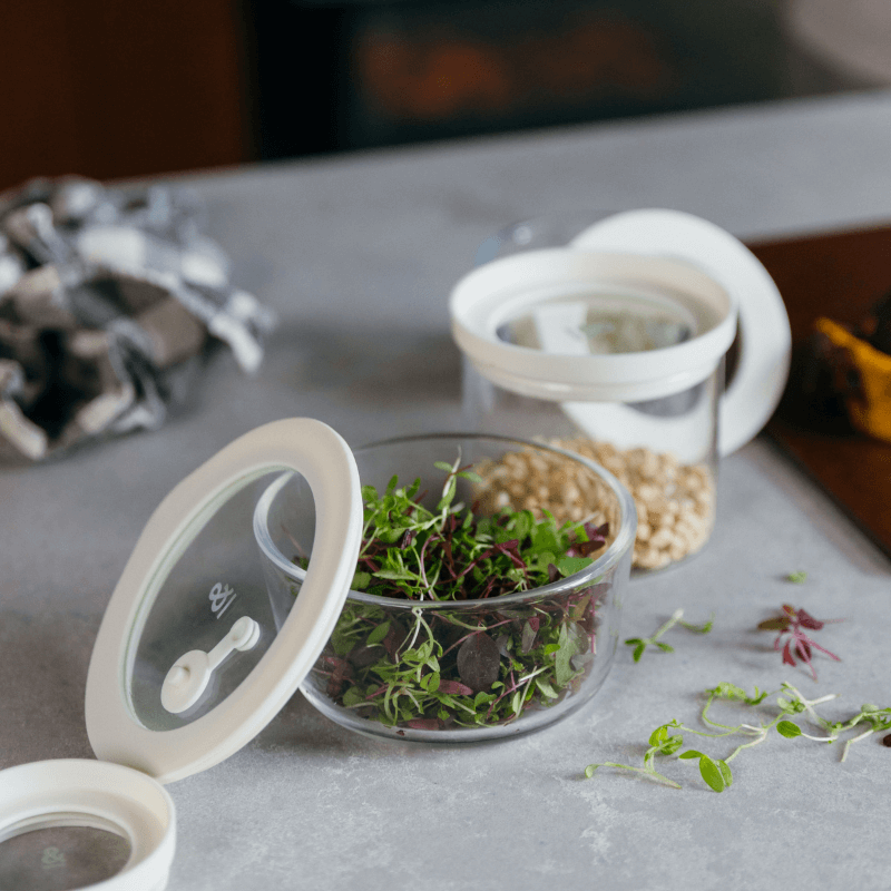 Pizza Prep Essentials