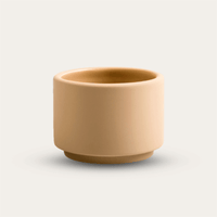 Ceramic Soap Box