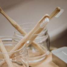 Eco Toothbrush - Pack of 3