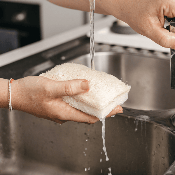 Cleaning Sponge Kitchen Sponges Dish Sponge Sponge for Washing Dishes Sponge  Scourers Foundation Spongesponge Dish Wash Dishwash Sponge Wash Sponge -  China Cleaning Sponge and Sponge Kitchen Scourer price